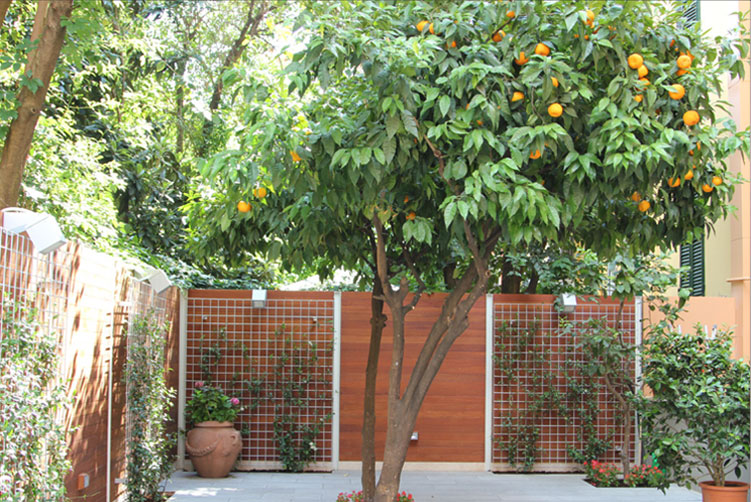 casa-vanessa1